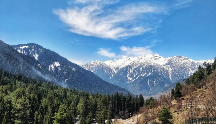 How to Plan a Kashmir Trip: Itinerary, Budget and Tips