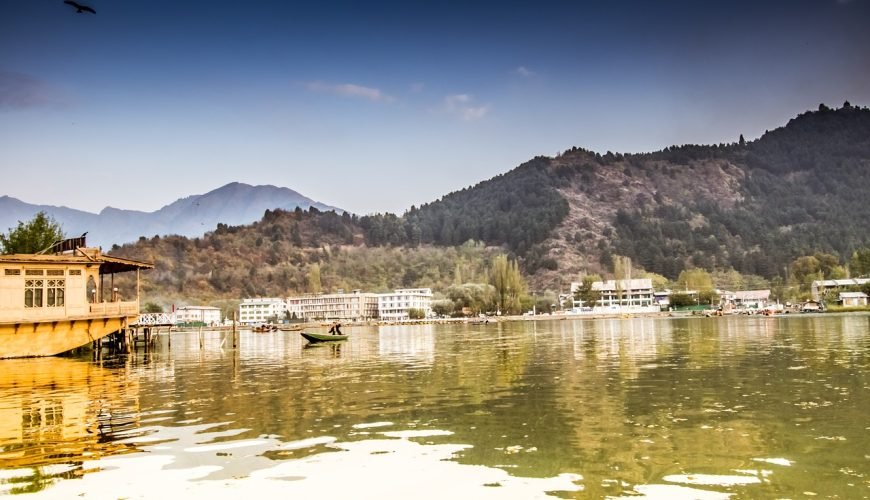 Tulip Garden Srinagar: Timings, Best Time and Visitor Tips