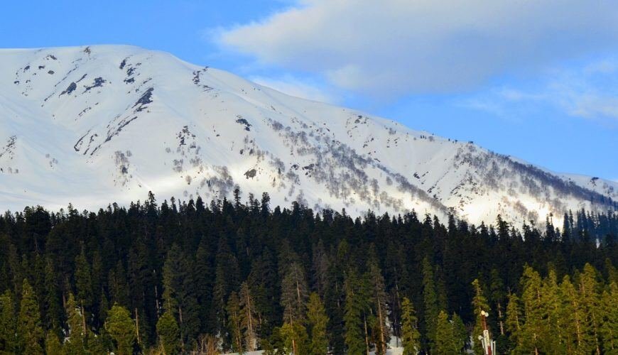 Yusmarg: The Kashmir Meadow Most Tourists Skip