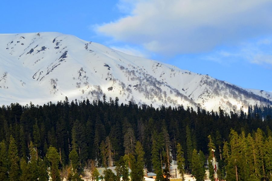 Gulmarg Tour Package