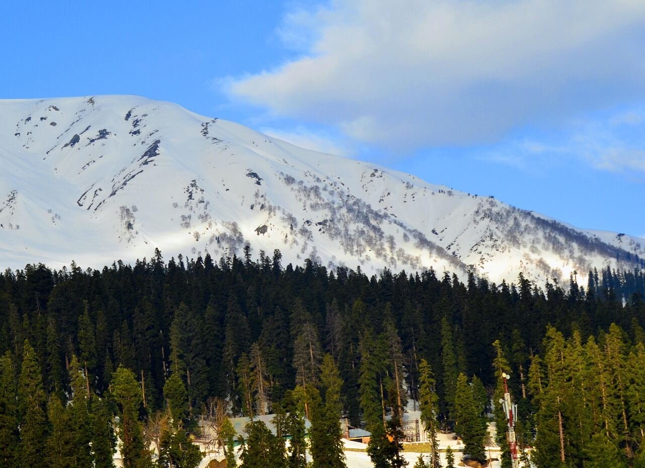 Yusmarg: The Kashmir Meadow Most Tourists Skip