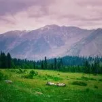 Khilanmarg meadow above Gulmarg Kashmir