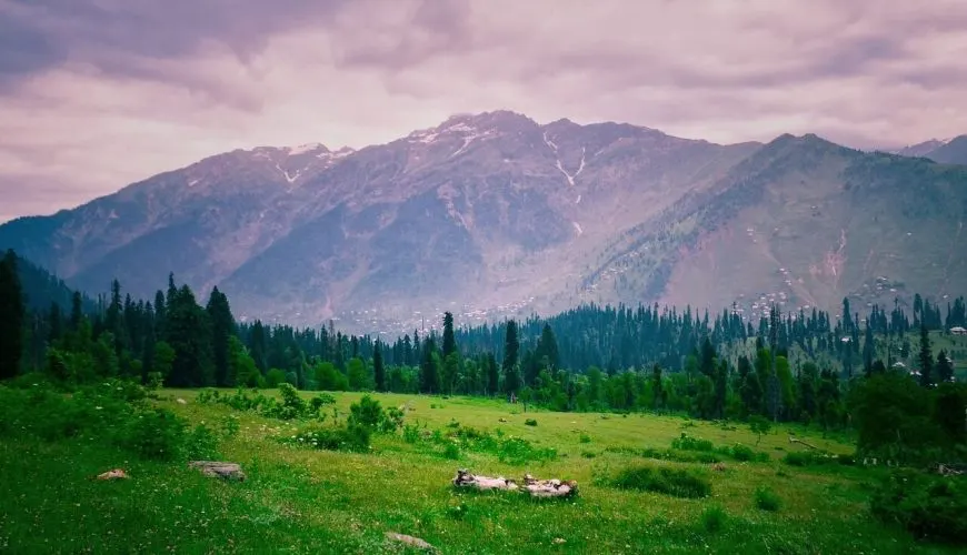 Khilanmarg meadow above Gulmarg Kashmir
