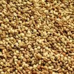 Mixed almonds and dry fruits