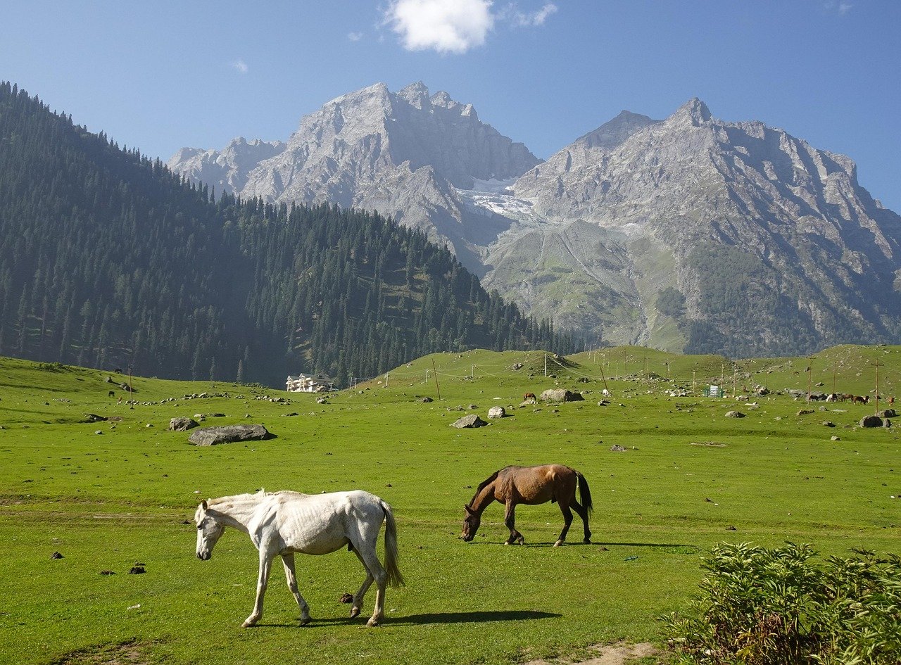 Sonmarg