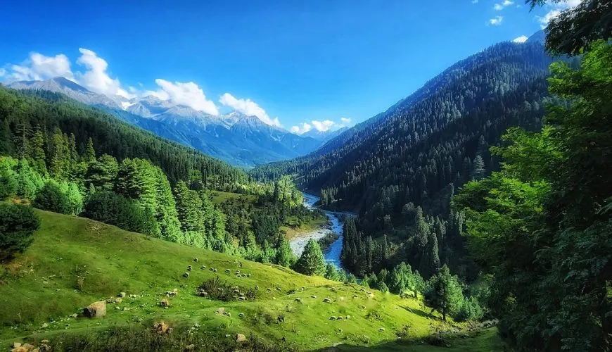 Lidder valley meadow and river near Pahalgam, Kashmir